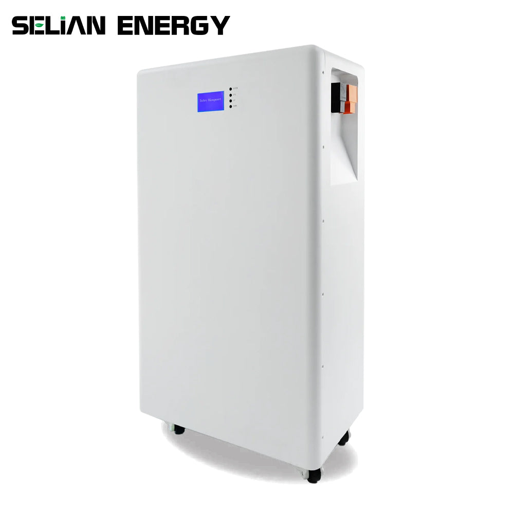 Selian Energy 48V 16S  Battery BOX