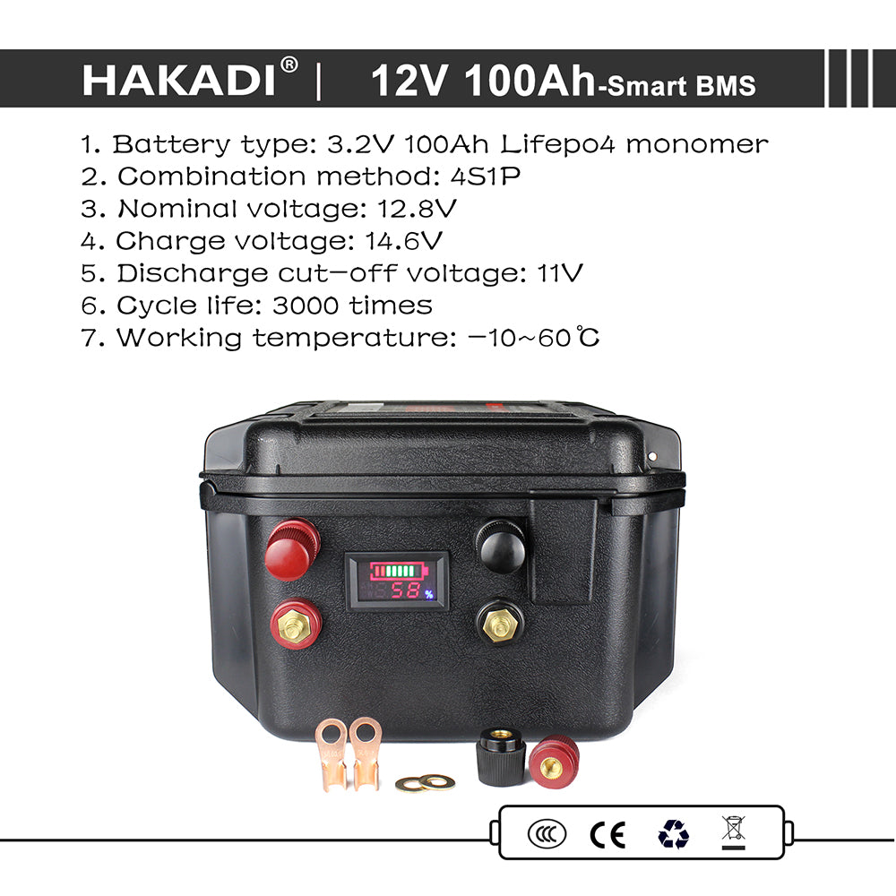 12V 100A LiFePO4 Rechargeable Battery Pack Built in BMS With BT 14.6V 10A Charger For Solar System