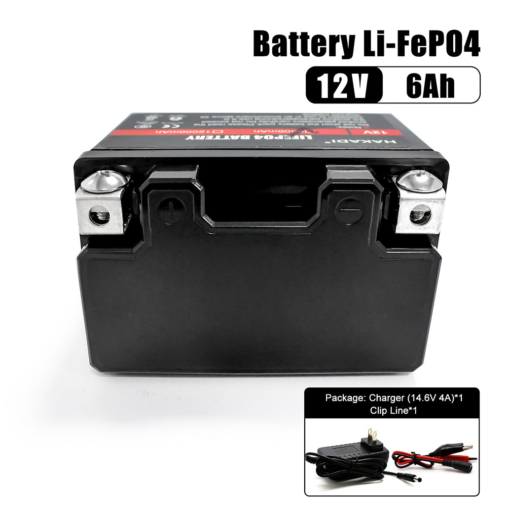 Power Energy LiFePO4 12V 6Ah Rechargeable Battery Pack Built in BMS for Power Electrical Solar System, RV, Boat