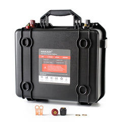 24V 100A LiFePO4 Rechargeable Battery Pack Built in BMS with 29.2V 10A Charger for Outdoor Backup Power Supply