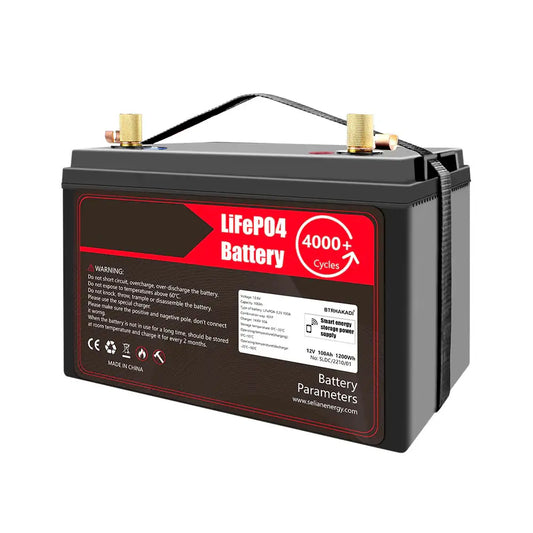 12V 100Ah Lifepo4 Rechargeable Battery Pack Build in BMS With BT 14.6V 10A Charger For Boat RV Fish Finder